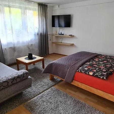 Apartman Stari Grad - Na Uni Apartment *