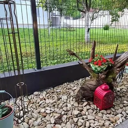 Apartman Stari Grad - Na Uni * Ostrozac (Cazin)